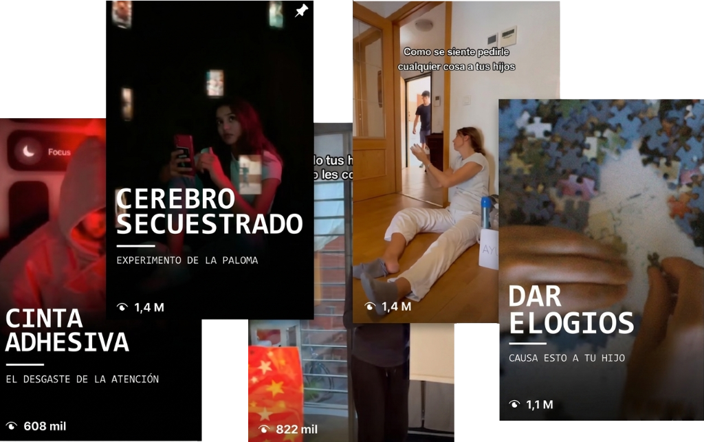Imagen Galería: 